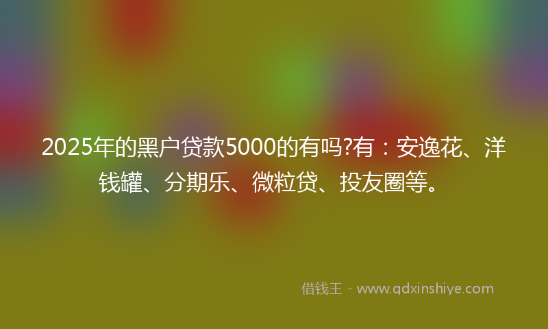 2025年的黑户贷款5000的有吗?有：安逸花、洋钱罐、分期乐、微粒贷、投友圈等。