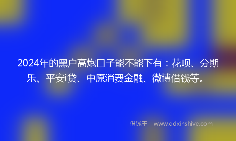 2024年的黑户高炮口子能不能下有：花呗、分期乐、平安i贷、中原消费金融、微博借钱等。