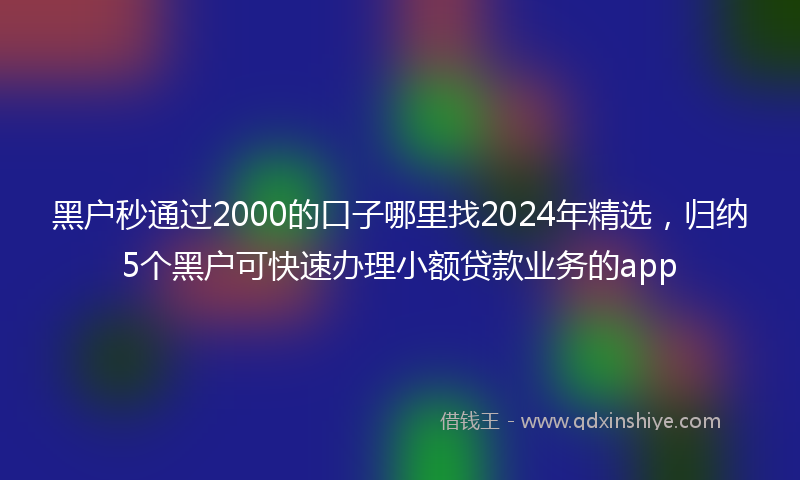黑户秒通过2000的口子哪里找2024年精选，归纳5个黑户可快速办理小额贷款业务的app