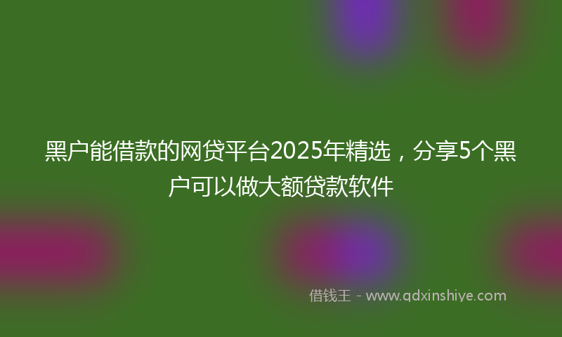 黑户能借款的网贷平台2025年精选，分享5个黑户可以做大额贷款软件