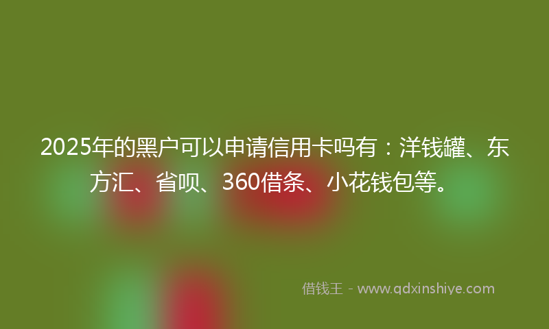 2025年的黑户可以申请信用卡吗有：洋钱罐、东方汇、省呗、360借条、小花钱包等。