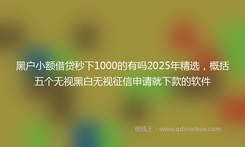 黑户小额借贷秒下1000的有吗2025年精选，概括五个无视黑白无视征信申请就下款的软件