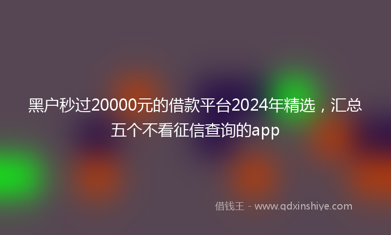 黑户秒过20000元的借款平台2024年精选，汇总五个不看征信查询的app