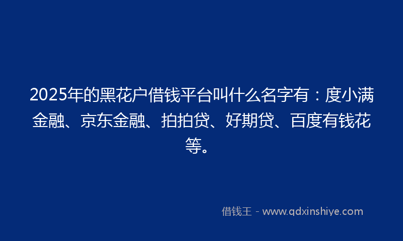 2025年的黑花户借钱平台叫什么名字有：度小满金融、京东金融、拍拍贷、好期贷、百度有钱花等。