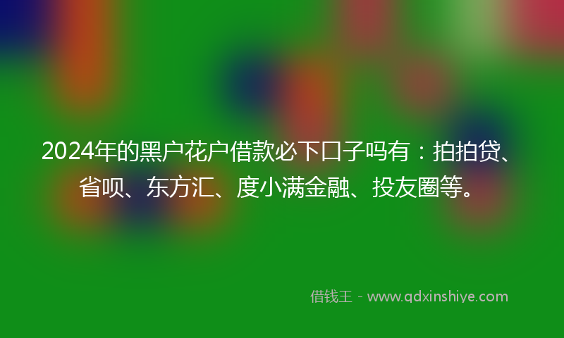 2024年的黑户花户借款必下口子吗有：拍拍贷、省呗、东方汇、度小满金融、投友圈等。