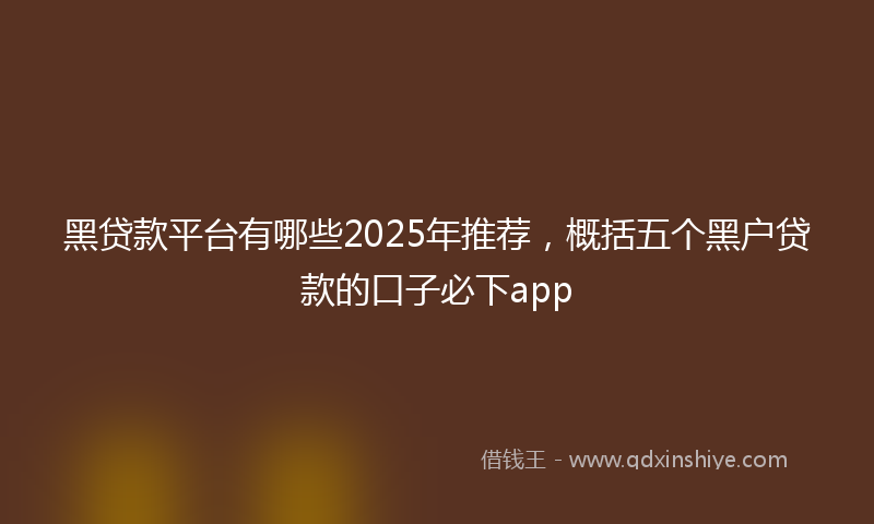 黑贷款平台有哪些2025年推荐，概括五个黑户贷款的口子必下app