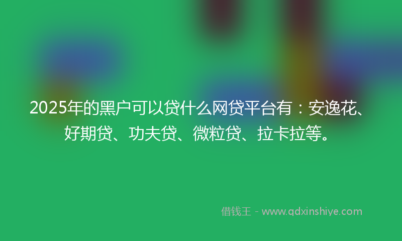 2025年的黑户可以贷什么网贷平台有：安逸花、好期贷、功夫贷、微粒贷、拉卡拉等。