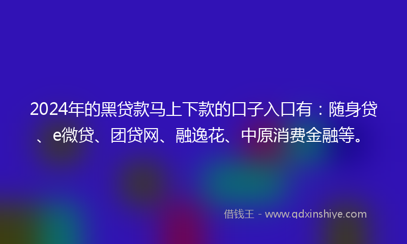 2024年的黑贷款马上下款的口子入口有：随身贷、e微贷、团贷网、融逸花、中原消费金融等。