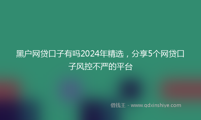 黑户网贷口子有吗2024年精选，分享5个网贷口子风控不严的平台