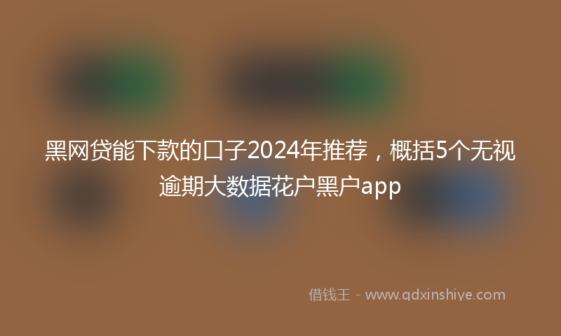 黑网贷能下款的口子2024年推荐，概括5个无视逾期大数据花户黑户app