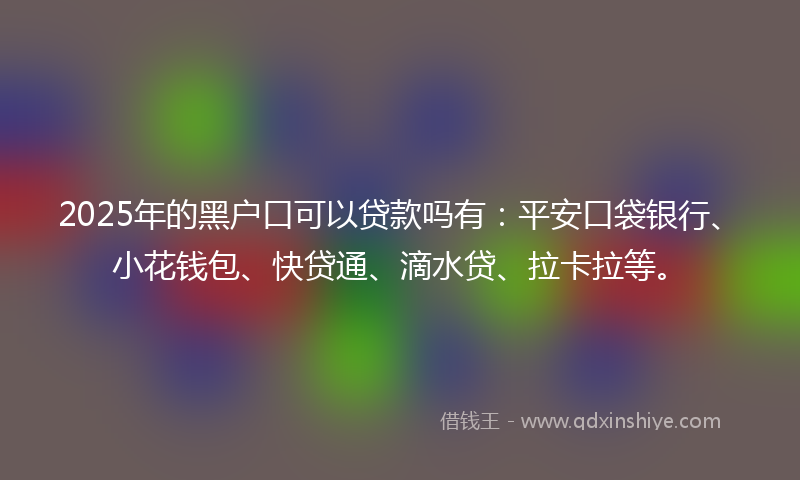 2025年的黑户口可以贷款吗有：平安口袋银行、小花钱包、快贷通、滴水贷、拉卡拉等。