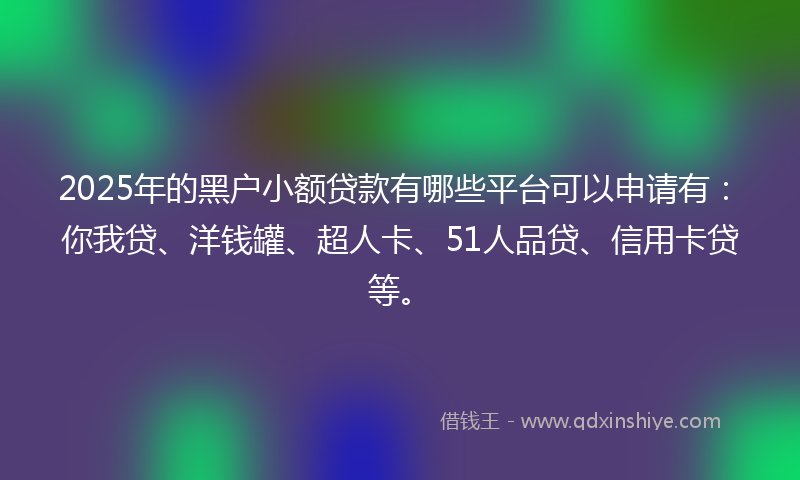 2025年的黑户小额贷款有哪些平台可以申请有：你我贷、洋钱罐、超人卡、51人品贷、信用卡贷等。