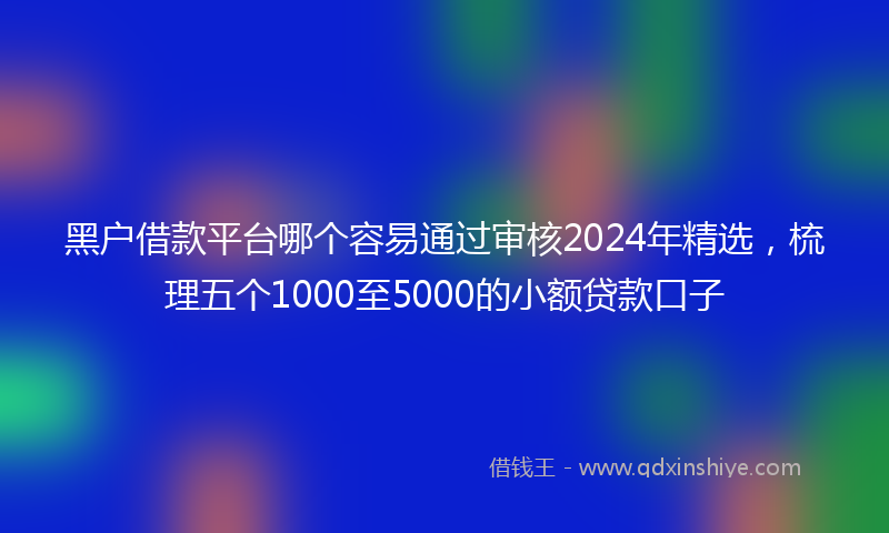 黑户借款平台哪个容易通过审核2024年精选，梳理五个1000至5000的小额贷款口子