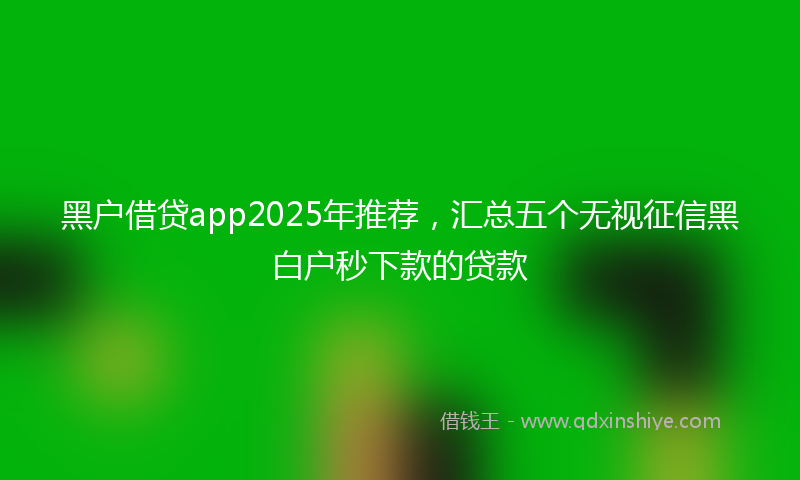 黑户借贷app2025年推荐，汇总五个无视征信黑白户秒下款的贷款
