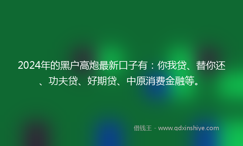 2024年的黑户高炮最新口子有：你我贷、替你还、功夫贷、好期贷、中原消费金融等。