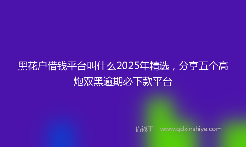 黑花户借钱平台叫什么2025年精选，分享五个高炮双黑逾期必下款平台