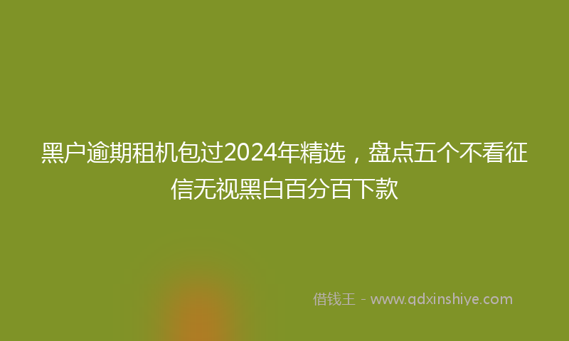 黑户逾期租机包过2024年精选，盘点五个不看征信无视黑白百分百下款