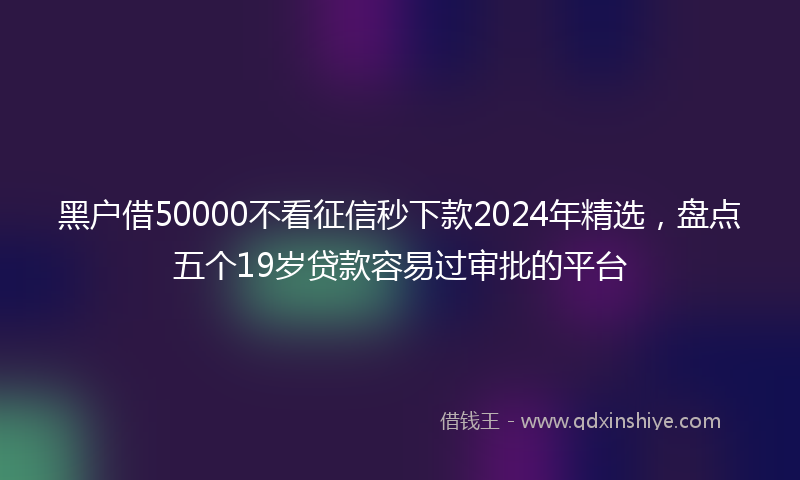 黑户借50000不看征信秒下款2024年精选，盘点五个19岁贷款容易过审批的平台