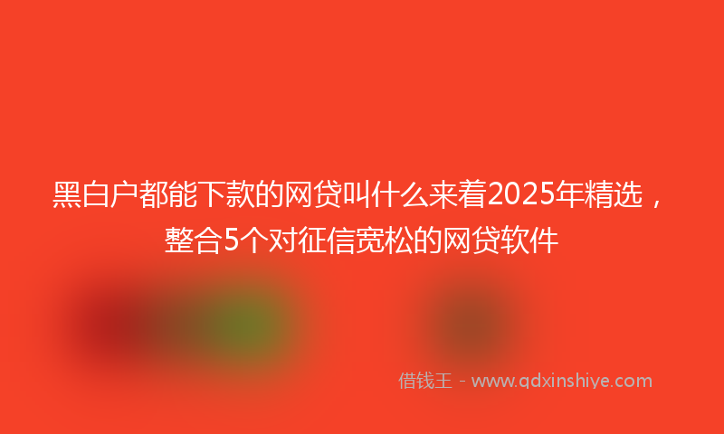 黑白户都能下款的网贷叫什么来着2025年精选，整合5个对征信宽松的网贷软件