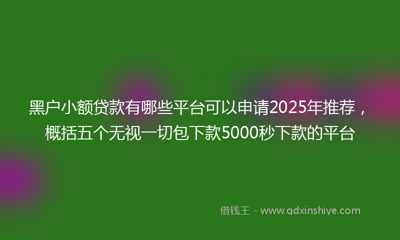 黑户小额贷款有哪些平台可以申请2025年推荐，概括五个无视一切包下款5000秒下款的平台