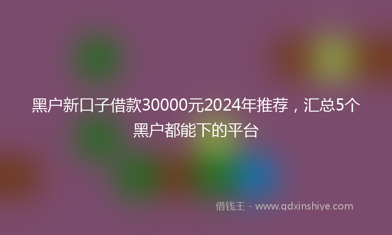 黑户新口子借款30000元2024年推荐，汇总5个黑户都能下的平台