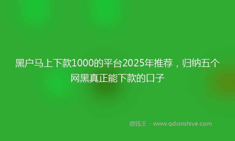 黑户马上下款1000的平台2025年推荐，归纳五个网黑真正能下款的口子