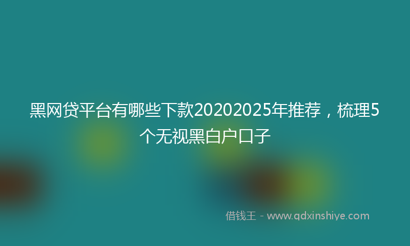 黑网贷平台有哪些下款20202025年推荐，梳理5个无视黑白户口子