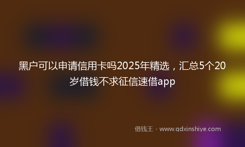 黑户可以申请信用卡吗2025年精选，汇总5个20岁借钱不求征信速借app