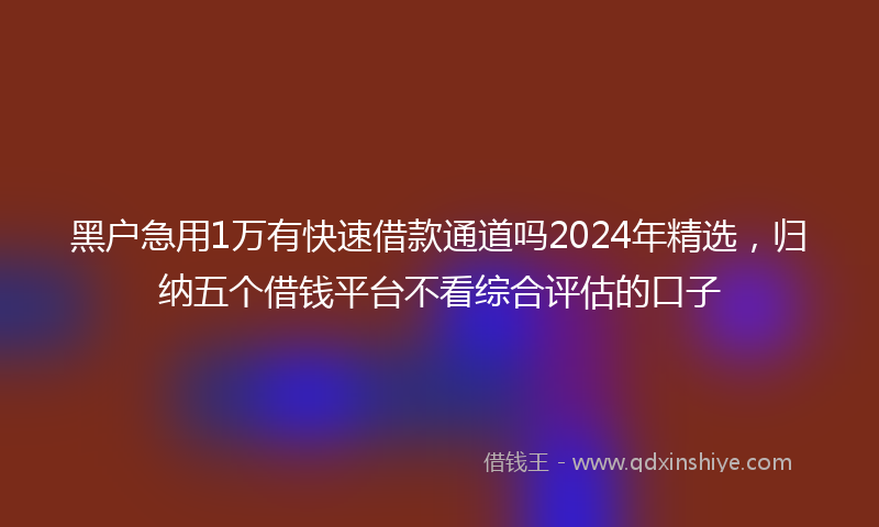 黑户急用1万有快速借款通道吗2024年精选，归纳五个借钱平台不看综合评估的口子