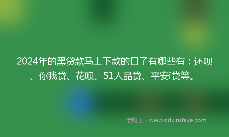 2024年的黑贷款马上下款的口子有哪些有：还呗、你我贷、花呗、51人品贷、平安i贷等。