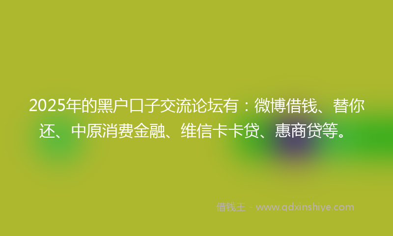 2025年的黑户口子交流论坛有：微博借钱、替你还、中原消费金融、维信卡卡贷、惠商贷等。