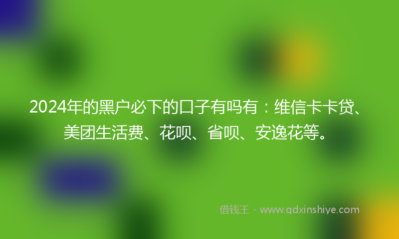 2024年的黑户必下的口子有吗有：维信卡卡贷、美团生活费、花呗、省呗、安逸花等。