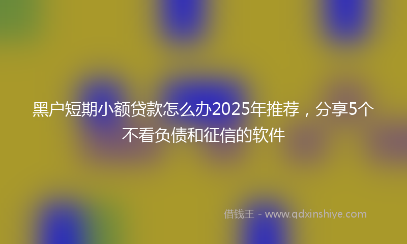 黑户短期小额贷款怎么办2025年推荐，分享5个不看负债和征信的软件