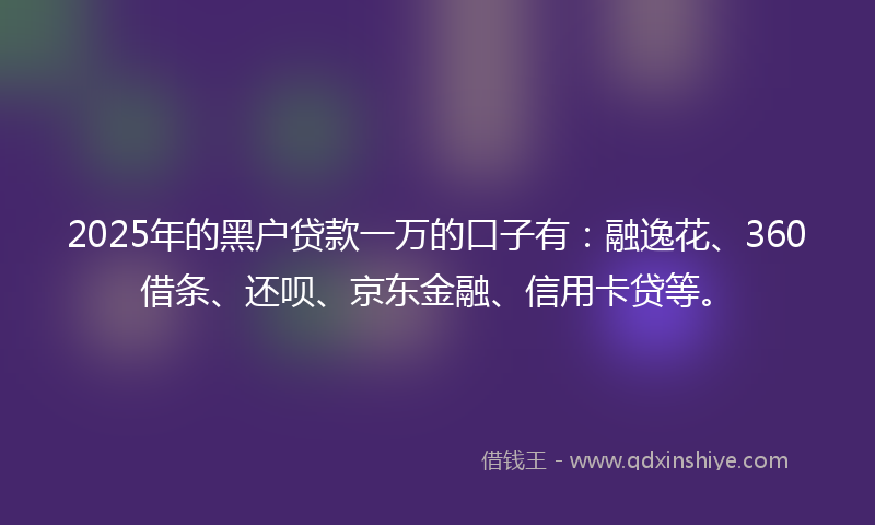 2025年的黑户贷款一万的口子有：融逸花、360借条、还呗、京东金融、信用卡贷等。