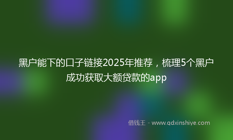 黑户能下的口子链接2025年推荐，梳理5个黑户成功获取大额贷款的app
