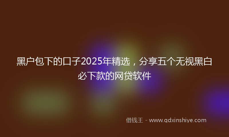黑户包下的口子2025年精选，分享五个无视黑白必下款的网贷软件