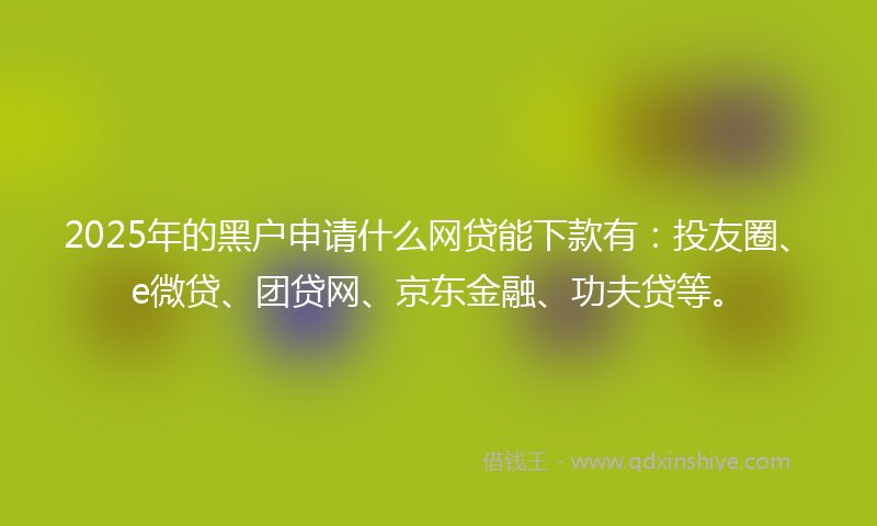 2025年的黑户申请什么网贷能下款有：投友圈、e微贷、团贷网、京东金融、功夫贷等。