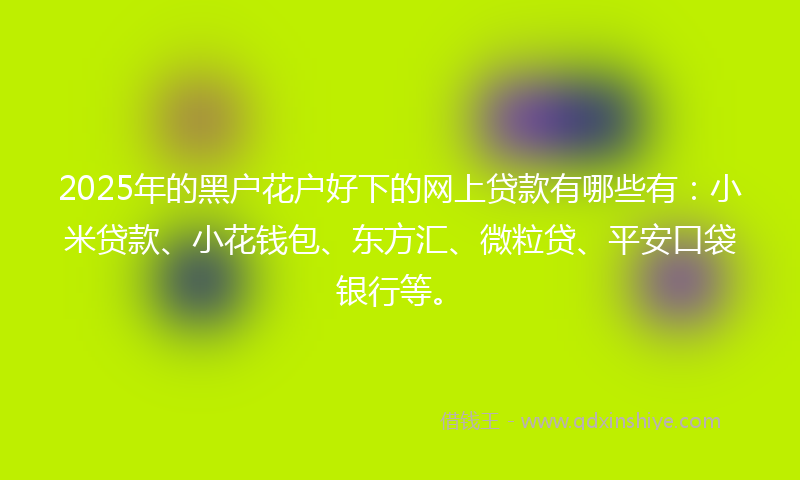 2025年的黑户花户好下的网上贷款有哪些有：小米贷款、小花钱包、东方汇、微粒贷、平安口袋银行等。