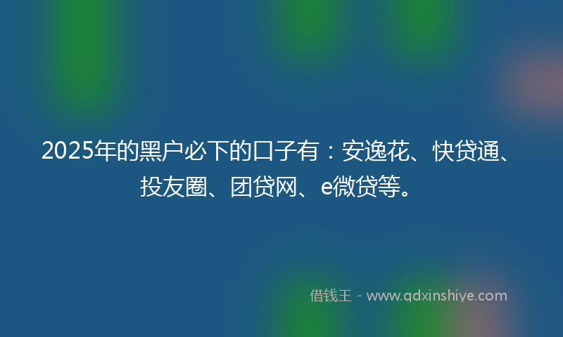 2025年的黑户必下的口子有：安逸花、快贷通、投友圈、团贷网、e微贷等。