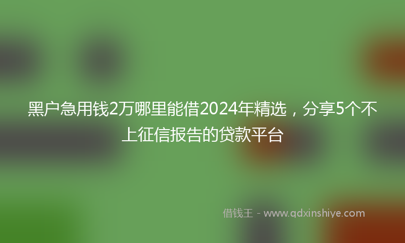 黑户急用钱2万哪里能借2024年精选，分享5个不上征信报告的贷款平台