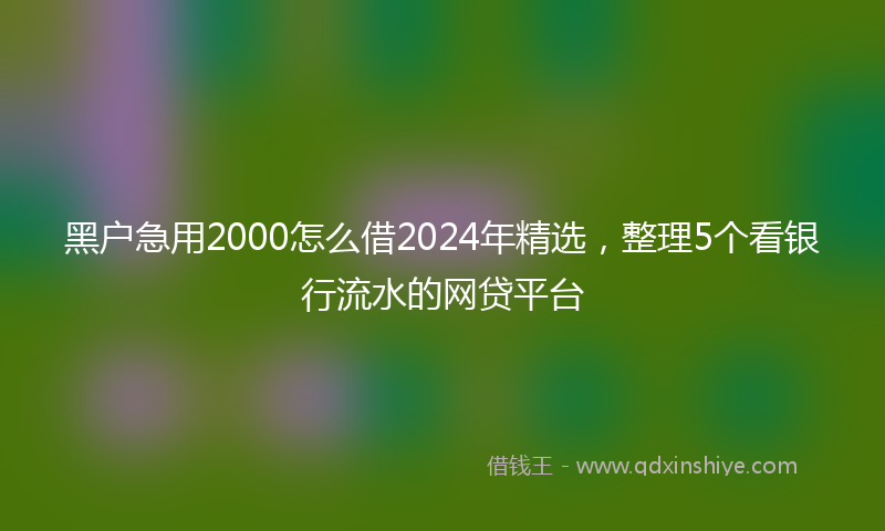 黑户急用2000怎么借2024年精选，整理5个看银行流水的网贷平台