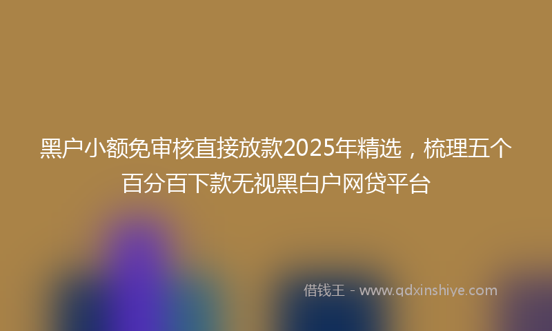 黑户小额免审核直接放款2025年精选，梳理五个百分百下款无视黑白户网贷平台