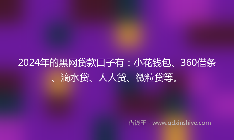 2024年的黑网贷款口子有：小花钱包、360借条、滴水贷、人人贷、微粒贷等。
