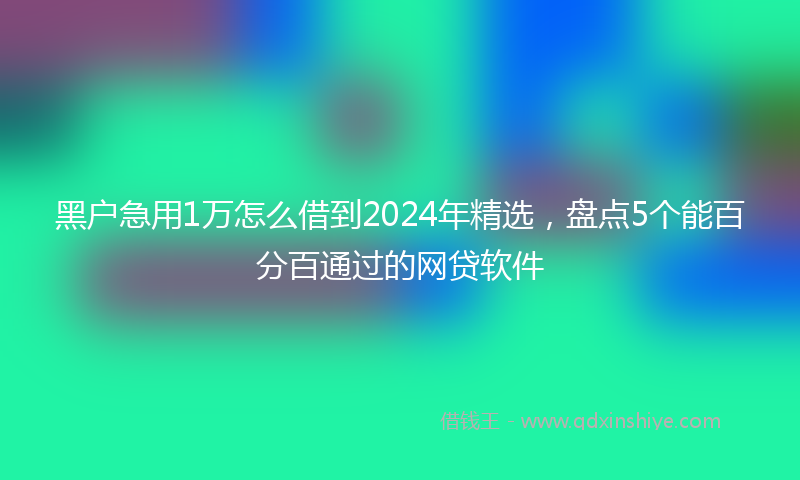 黑户急用1万怎么借到2024年精选，盘点5个能百分百通过的网贷软件