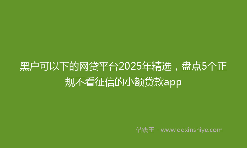 黑户可以下的网贷平台2025年精选，盘点5个正规不看征信的小额贷款app