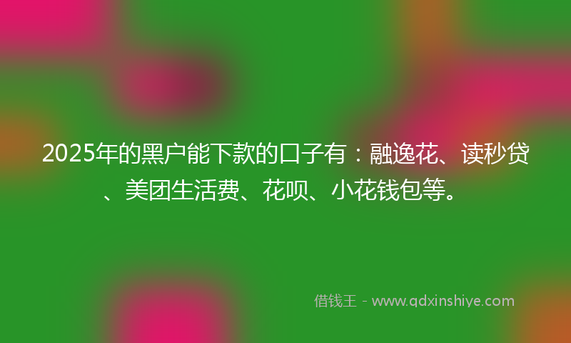 2025年的黑户能下款的口子有：融逸花、读秒贷、美团生活费、花呗、小花钱包等。