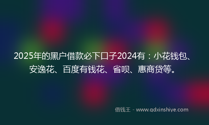 2025年的黑户借款必下口子2024有：小花钱包、安逸花、百度有钱花、省呗、惠商贷等。