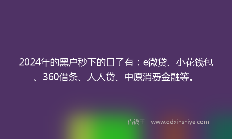 2024年的黑户秒下的口子有：e微贷、小花钱包、360借条、人人贷、中原消费金融等。
