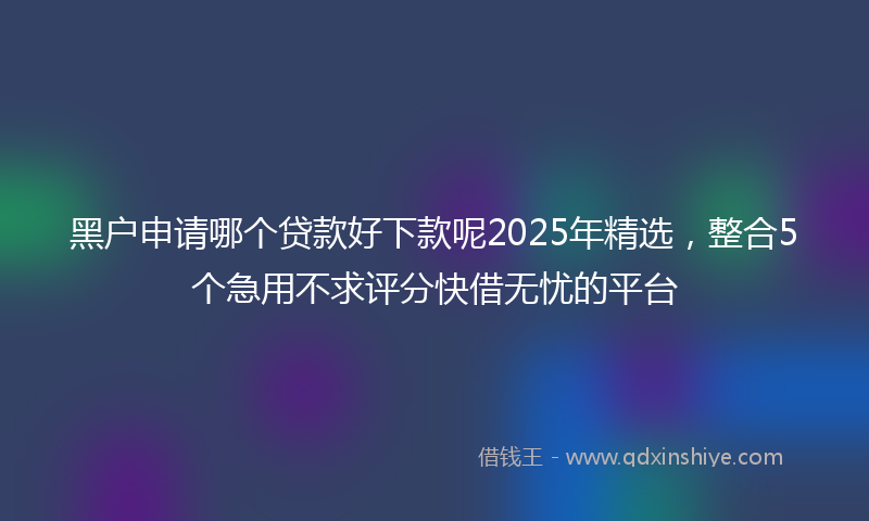黑户申请哪个贷款好下款呢2025年精选，整合5个急用不求评分快借无忧的平台