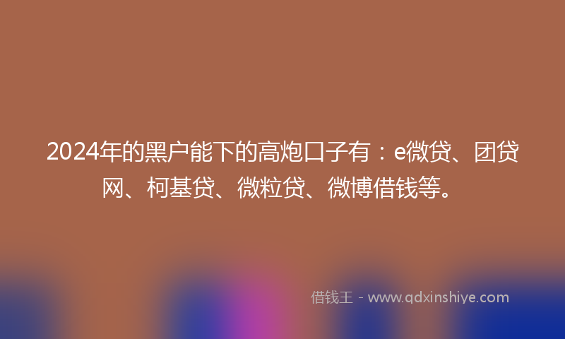 2024年的黑户能下的高炮口子有：e微贷、团贷网、柯基贷、微粒贷、微博借钱等。